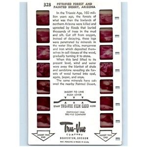 Vintage Tru Vue Tru-Vue Film Card Petrified Forest Painted Desert Arizona 328 3D